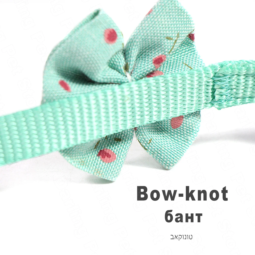puppy collars