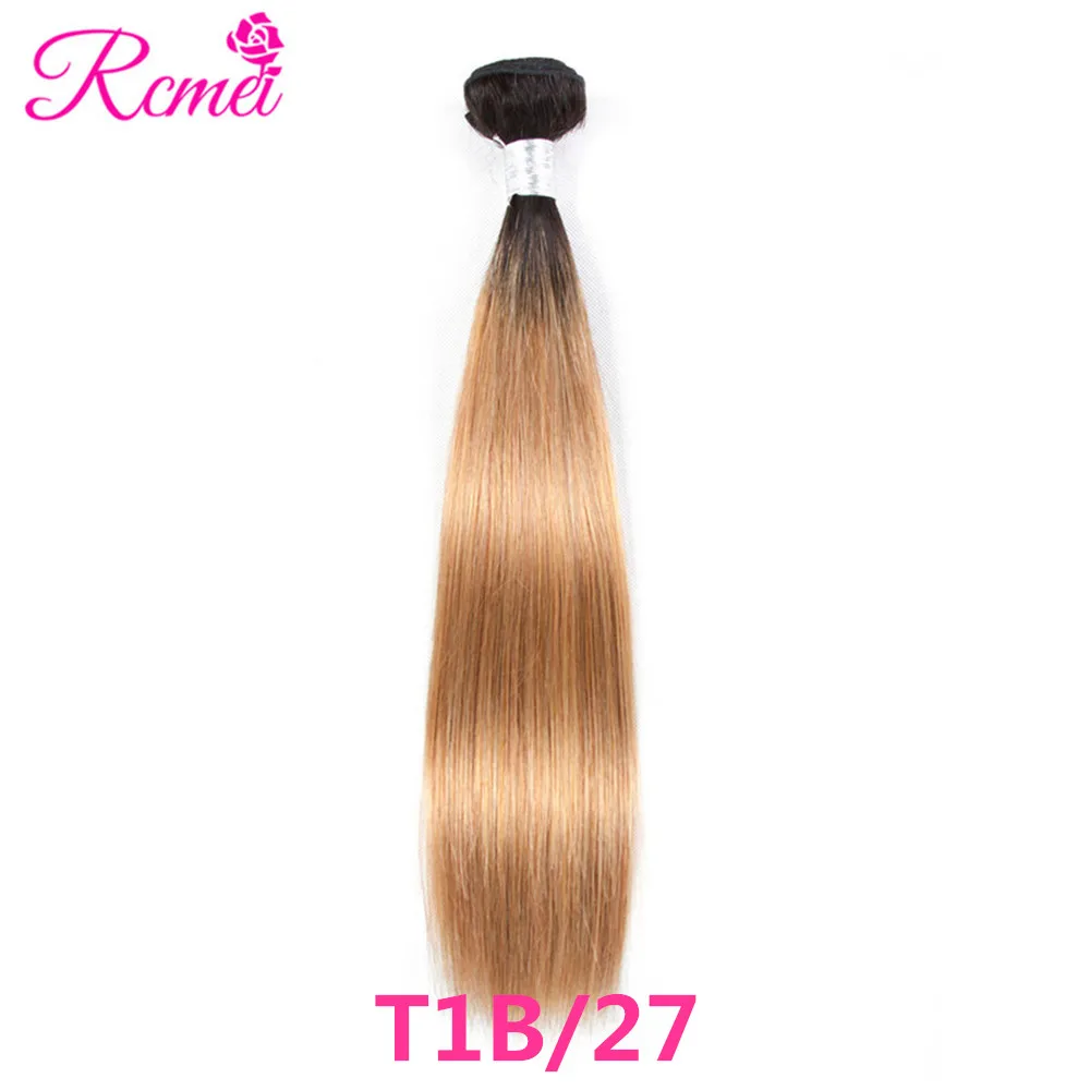 ombre T1B 27 bundles