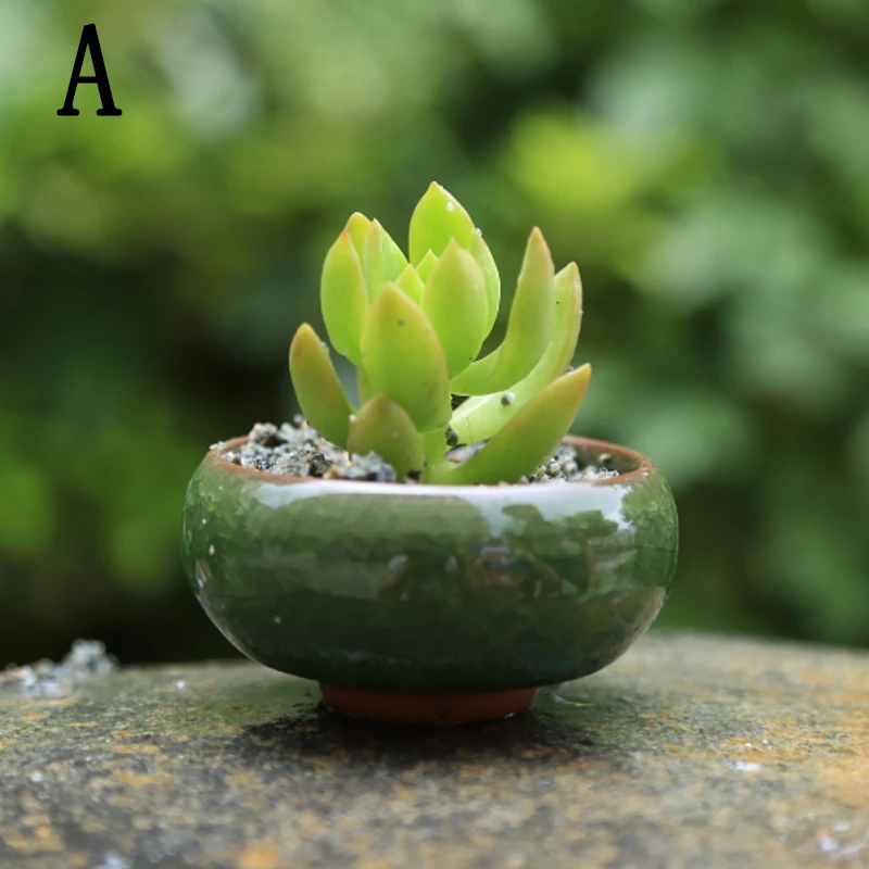 Горшок для растений бонсай керамический цветочный горшок суккулент растения в горшке стол Декор Глазурованный керамический горшок