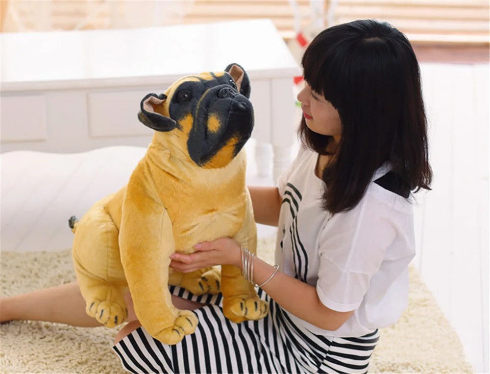 dog15