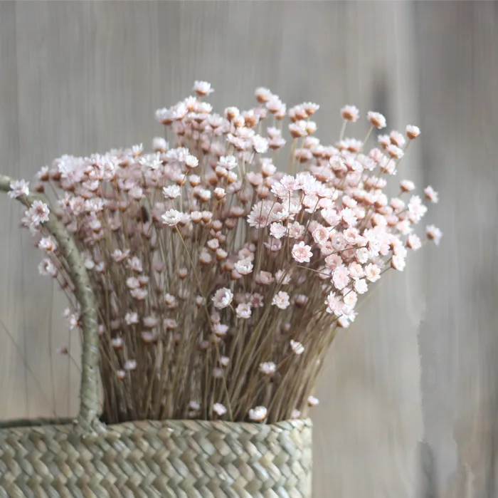 Flower Bouquet Picture More Detailed About 90pcs Lot 90pcs Lot Dried Flowers Sunflower Daisy Chamomile Bouquet Home Decor