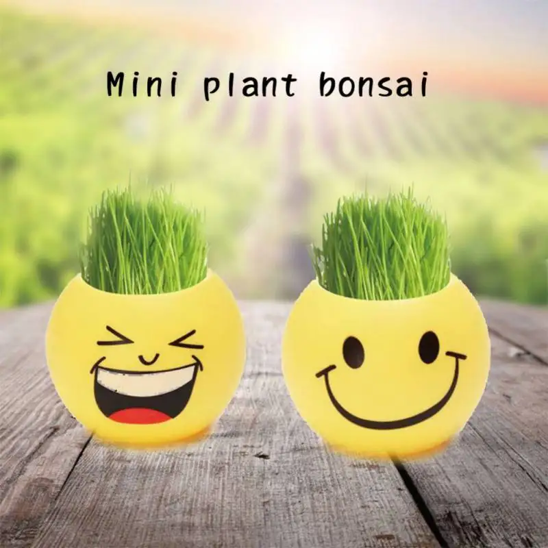 Grass Head Doll Ecological Bonsai Bottle Expression Pack Ecological Bonsai Bottle, Emoticon Bag, Great Gifts Grass Head Doll Ecological Bonsai Bottle Expression Pack Ecological Bonsai Bottle, Emoticon Bag, Great Gifts