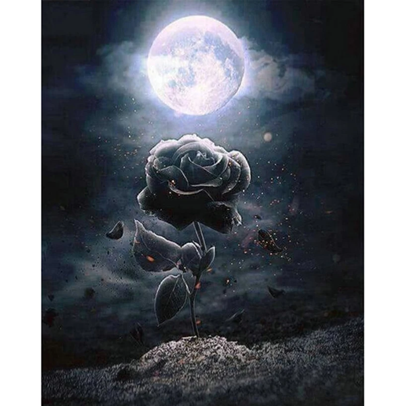 HTB1qHIKJ7yWBuNjy0Fpq6yssXXa9