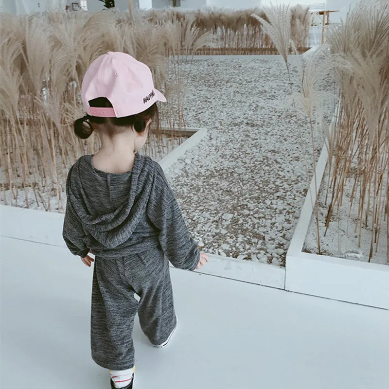 

2019 Spring New Baby Boys Girls Clothing Sets Fashion Style Soild Long Sleeve Hooded Top+Long Pant 2Pcs Casual Sport Suits 2-8T