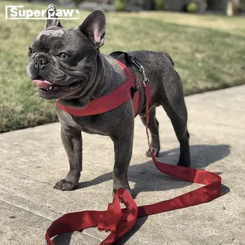 

Fashion Adjustable Harness Leash for Small Medium Large Dogs Puppies Outdoor Pet Dog Cat Cats Leading Accessories ZLL01