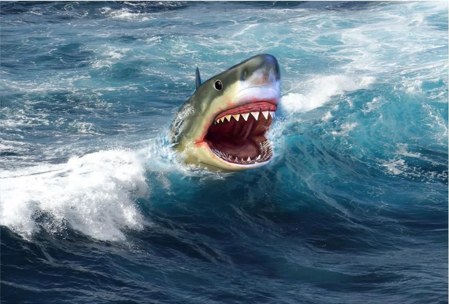 59925ea47b60623b461fd45a-2-original