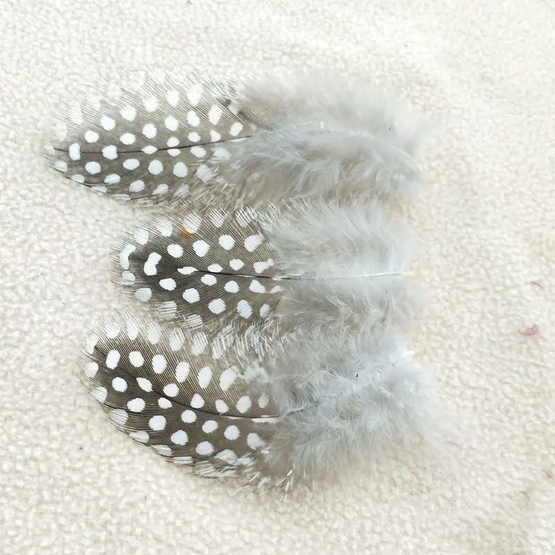 

wholesale 20pcs / lot beautiful natural guinea fowl feathers 2-3inches / 5-8cm beautiful dot pattern pearl feather