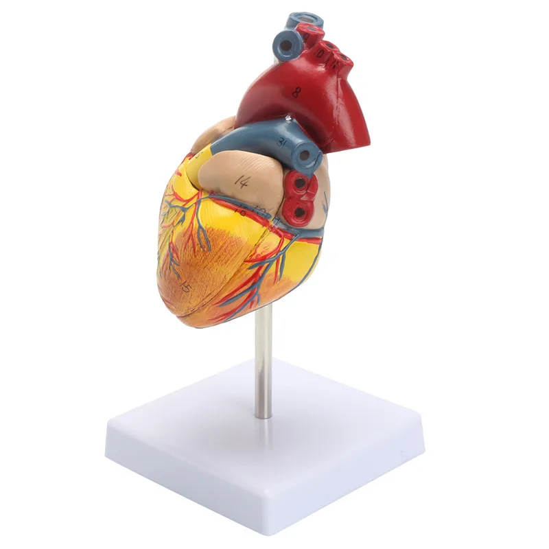 rB9kflovhNaAKwT8AAEIM7iGI7A058