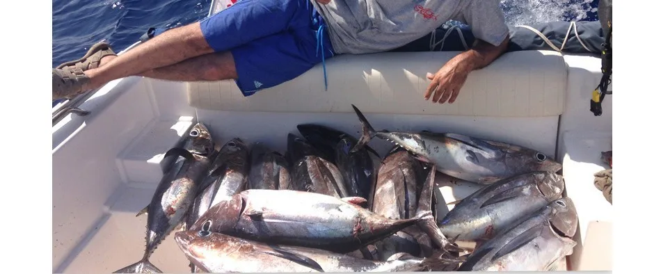 Isca de Pesca de Boa Qualidade da Marca Isca de Pesca de Água Robalo Milímetros Isca Sinking Minnow Salgada Pesca Artificial 125 26 isca de pesca de água salgada pesca isca isca artificial