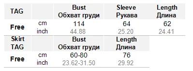 C6529