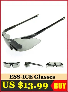 ESS-ICE