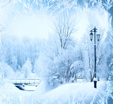 kate photoraphy background christmas