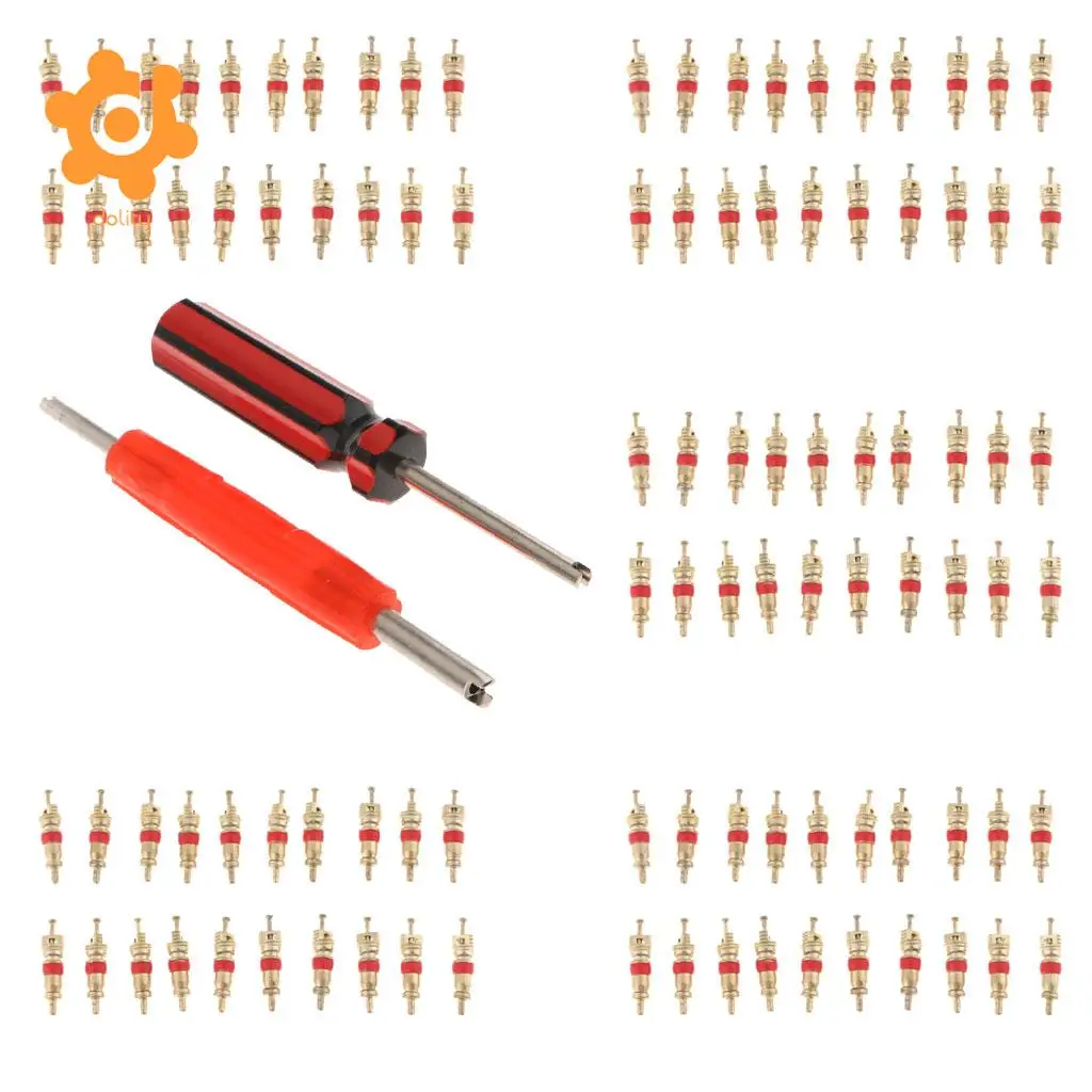 102Pcs Tire Valve Stem Core Part Dual /Single Head Valve Core Remover Set