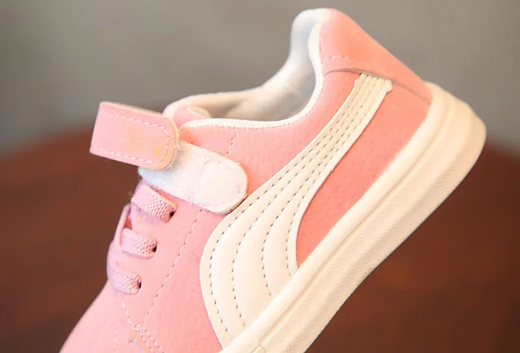 8528622493_135482240