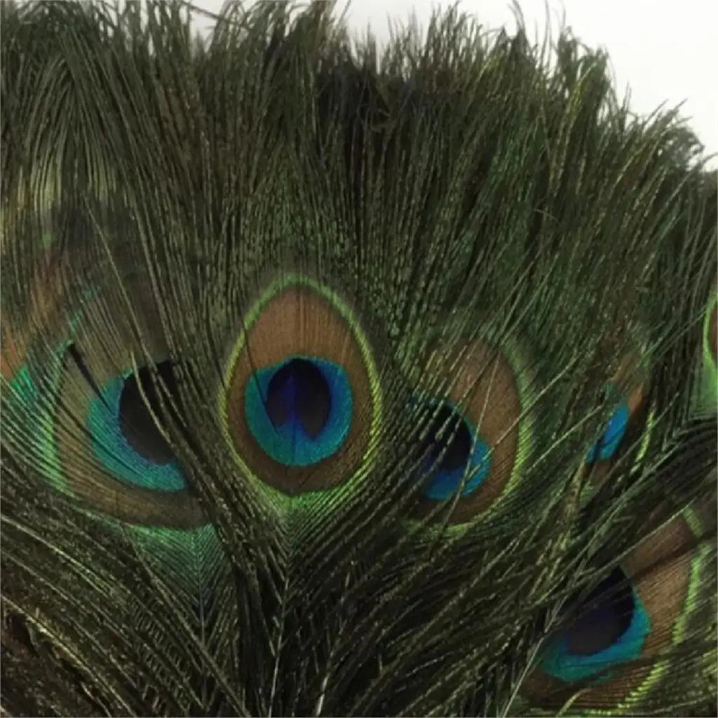 Beautiful Decorative Hottest Sale 10PCS 25 30cm Natural Peacock Feather
