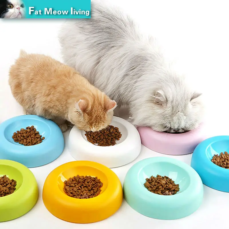 cute cat bowls stainless steel superior quality cat bowl makar super cute cat food pot pancake trumpet pet special tableware slip free shippingin feeding watering cute cat bowls stainless steel superior quality cat bowl makar super cute cat food pot pancake trumpet pet special tableware slip free shippingin feeding watering