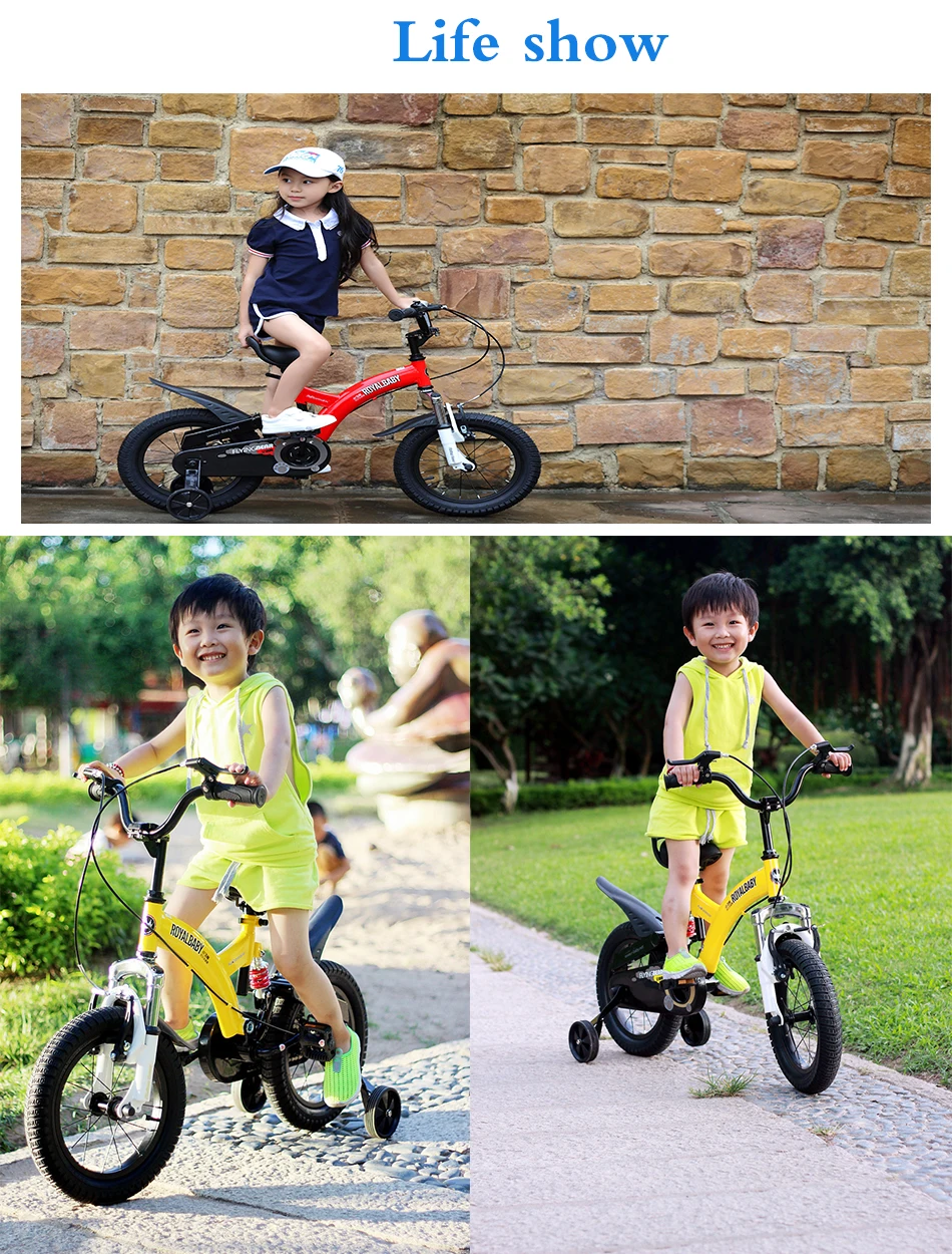 feixiong2