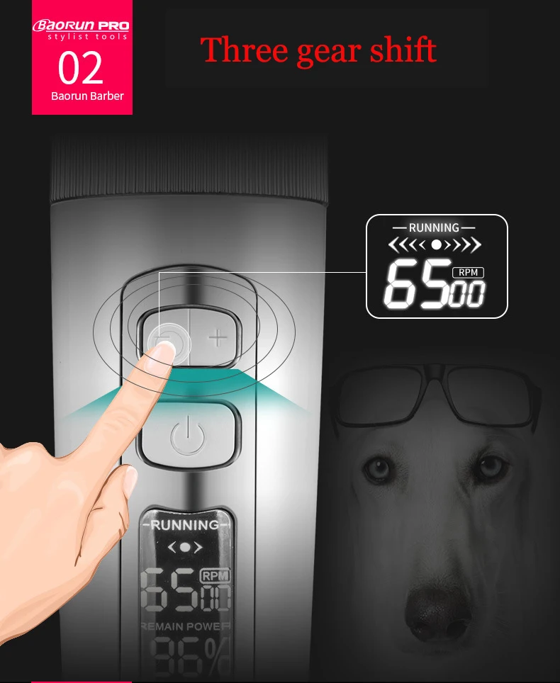 dog clipper (9)