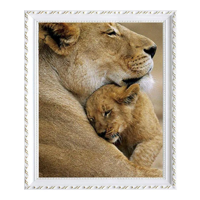 львы прайд. лев и львенок. львица. львица со львятами. львица со львятами.