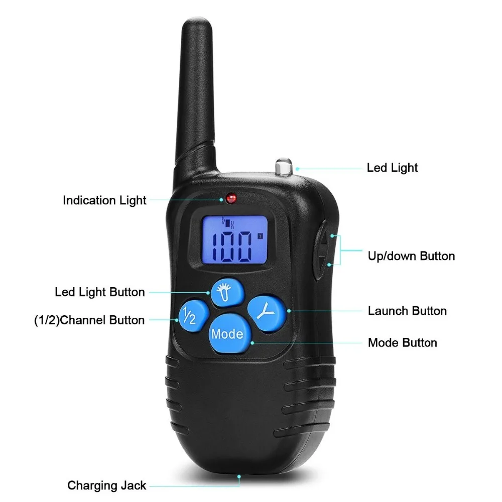 dog 998DB