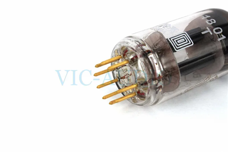 ECC81 (5)