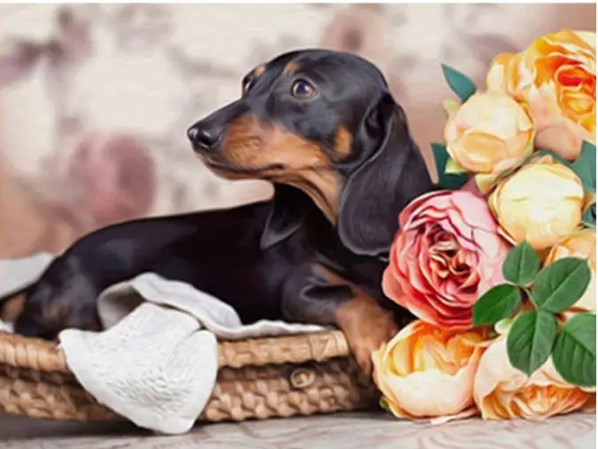 

dachshund Full 5D Diy Daimond Painting Cross-stitch Dog&Flower 3D Diamond Painting Full Rhinestones Paintings Embroidery