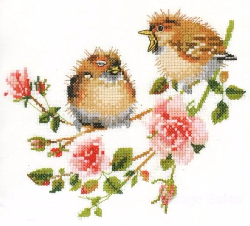 CS-1677 Cross Stitch Kit Rose Chick Chat Two Birds Bird and Flower