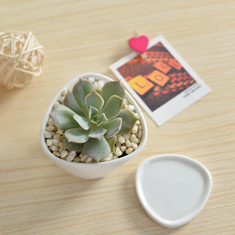 1 Set Minimalist Geometry White Ceramic Succulent Plant Pot Bonsai Planter Porcelain Flower Home Decor(1 + Stand) | Дом и сад