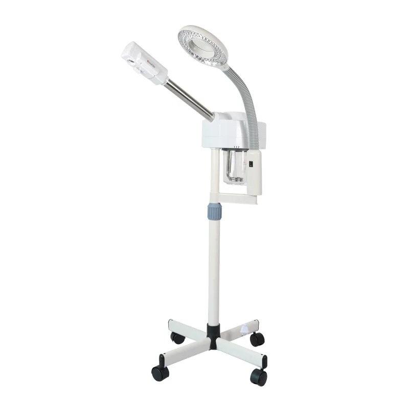facial steamer (6)