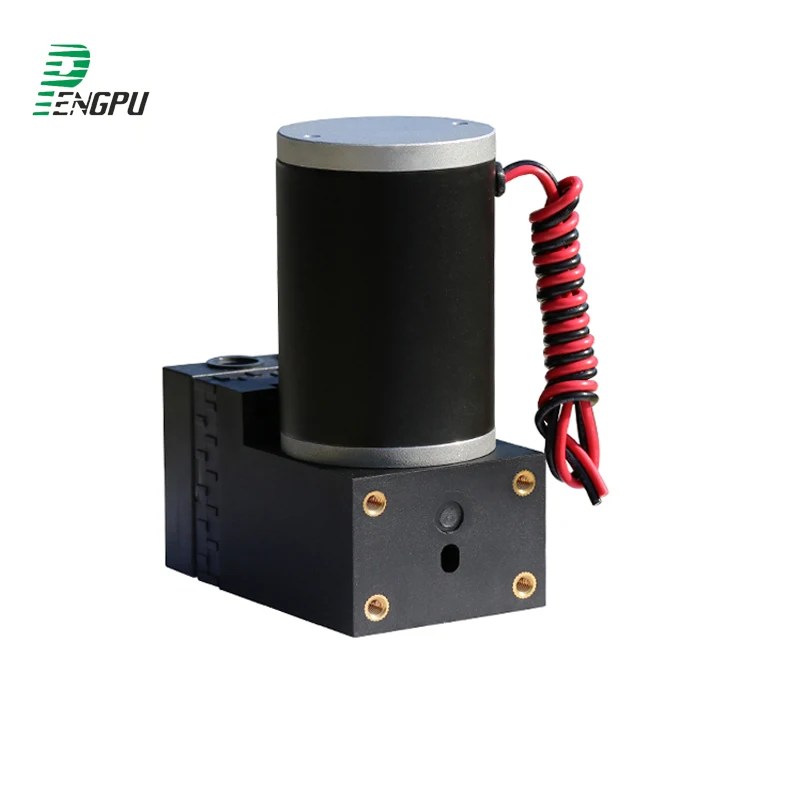 12 Volt 24 Voltage OEM Micro Air Sampling Vacuum Pump Miniature