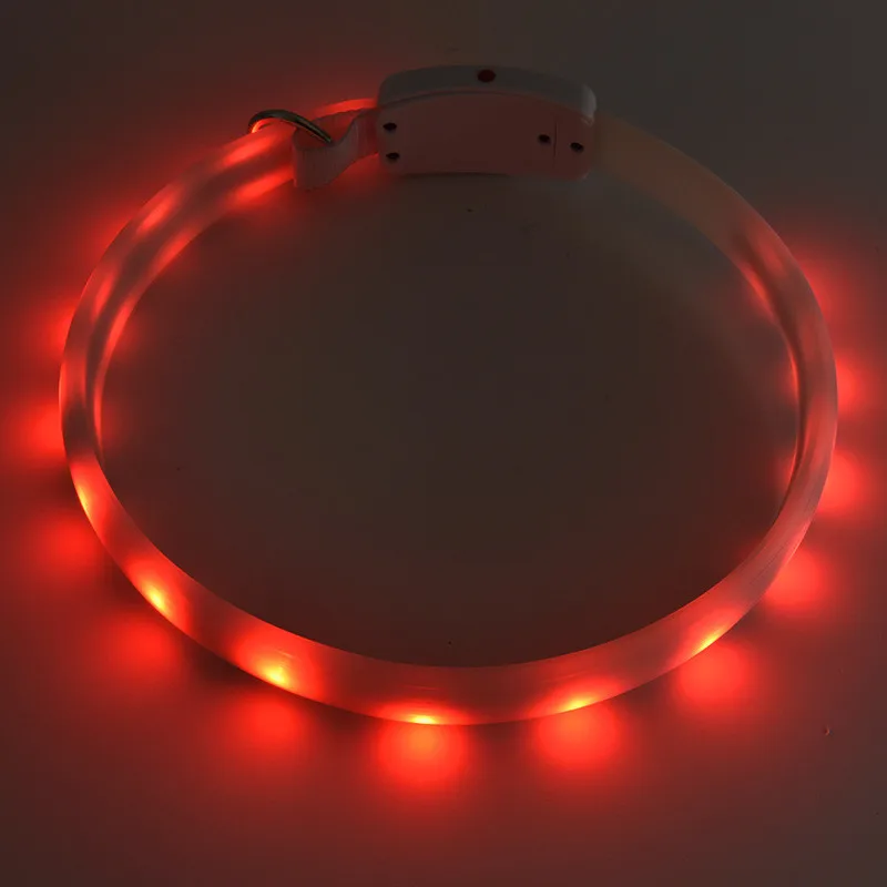 Led Collar Dog (6)