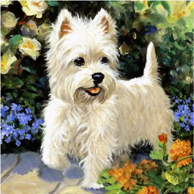 product-image-498511703_1024x1024