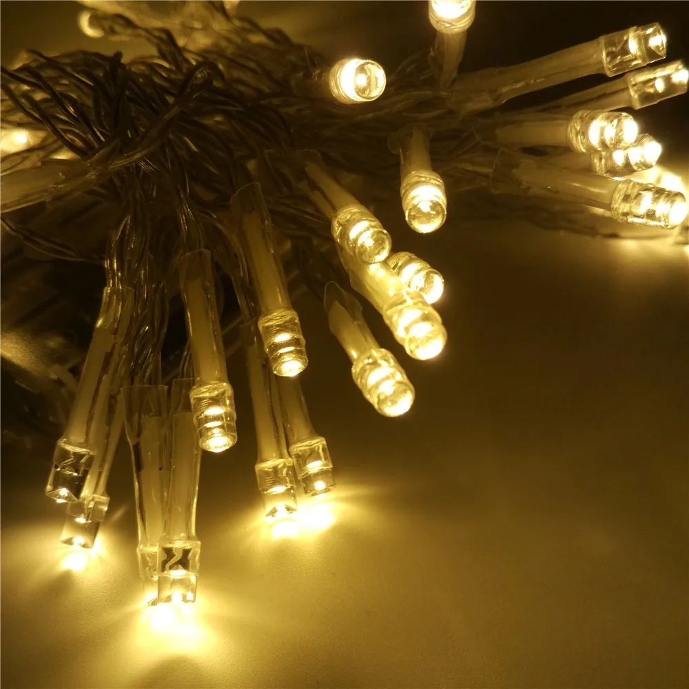Battery Power LED String Lights for Festivals (34)