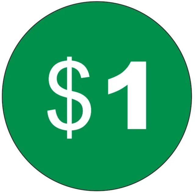 Shipping cost The Payment for Charger or other special payment $1 |