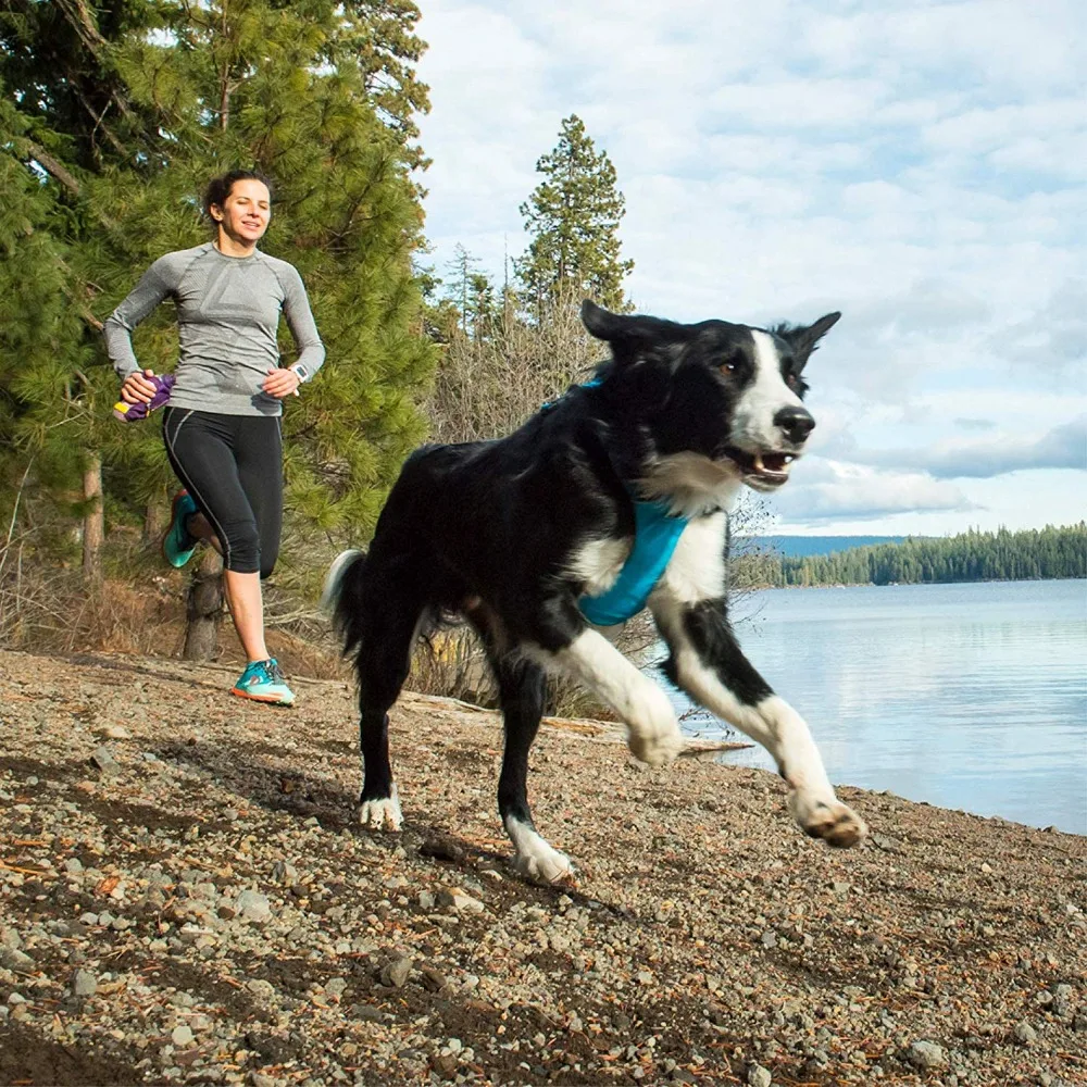 Жгут переднего диапазона RUFFWEAR|Собачьи жилеты| |