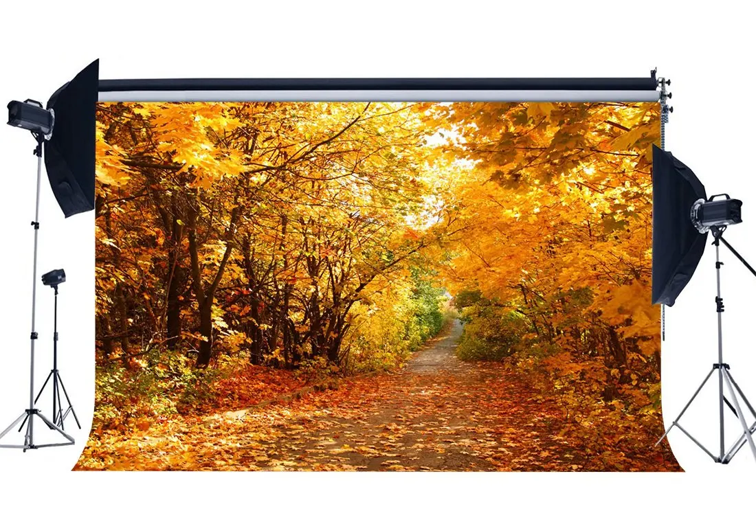 

Autumn Backdrop Jungle Forest Trees Backdrops Golden Leaves Nature Outdoor Photography Background