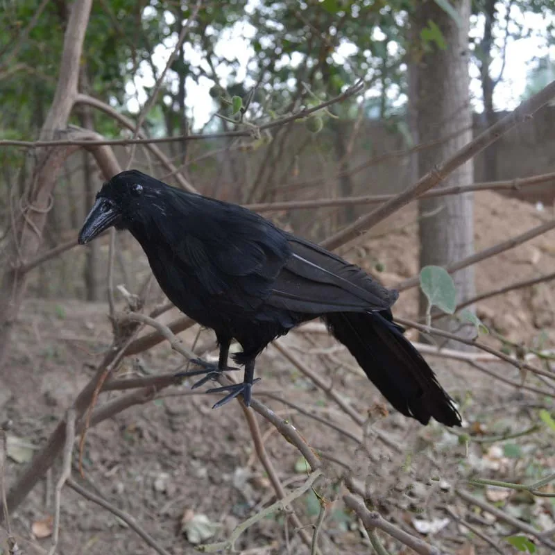 12inch 30cm Halloween Simulation Black Feather Crows for Cosplay Photography Magic Props Halloween Decoration Plastic Decoy 2