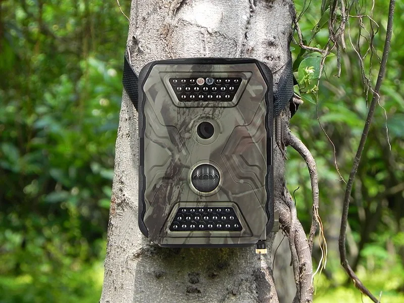 Digital trail camera
