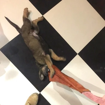

Thickened Cowhide Dog Bite Cloth Toy Trainer Suitable for Working Dogs For Early Dog Dog Supplies