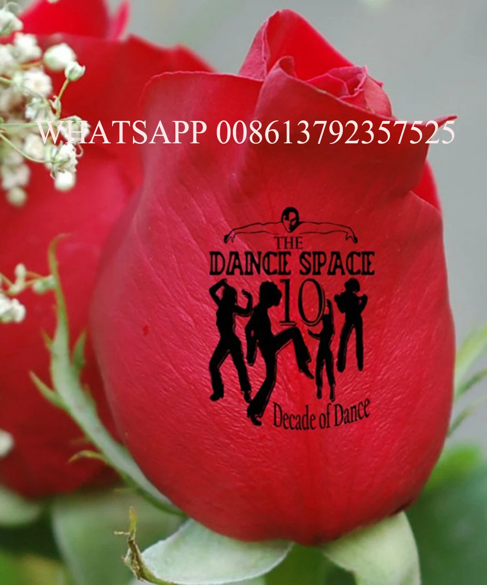  Computer and screen build in CE approved 5 nails printer flowers printer nail art equipment flower 