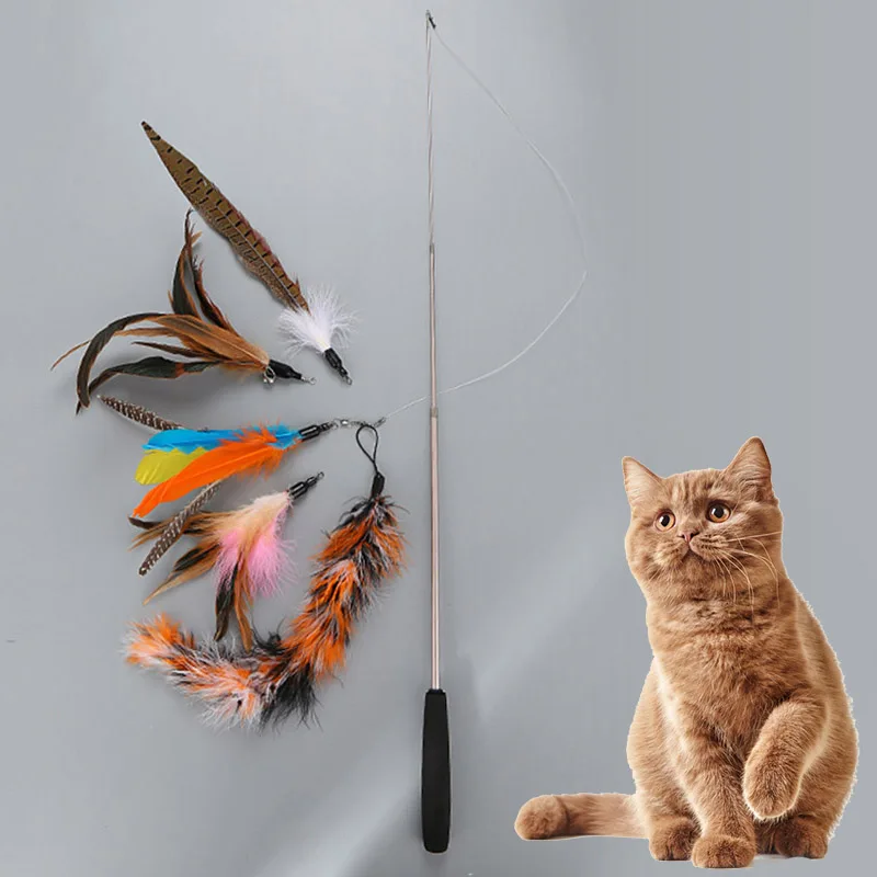 

Pet Cat Teaser Toy Set Flexible Stick With 5Pcs Replacement Feather Kitten Playing Interactive Toys LXY9