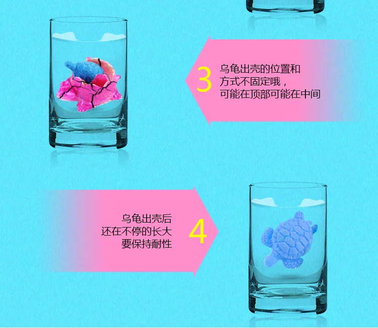 36Pcs Magic Hatching Growing Turtle Animal Eggs Add Water Child Kids Toy Gift !
