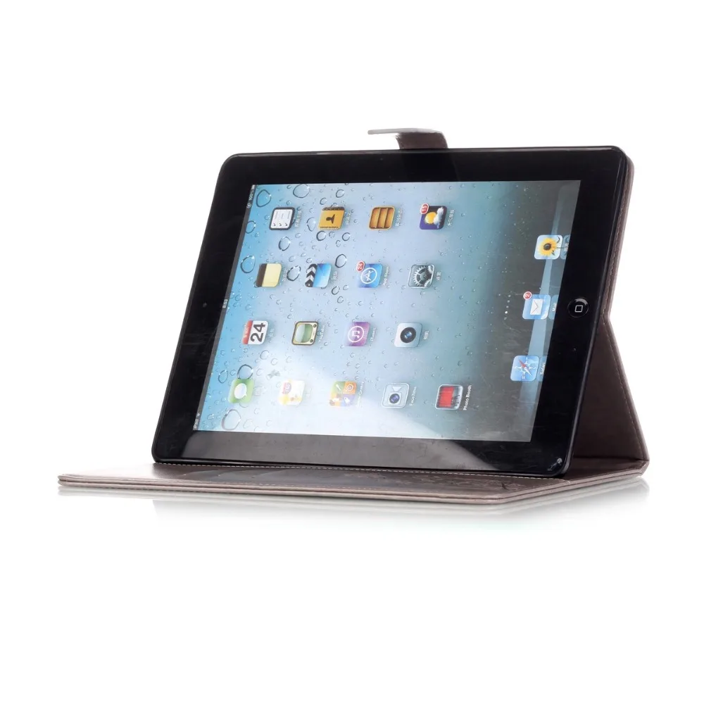 ipad234  (6)