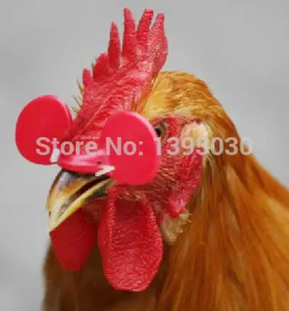 

1000Pcs/Lot Feed Poultry Chicken Eyes Glasses Livestock Aviod Chicken Peck Each Other Fighting Peck Eggs