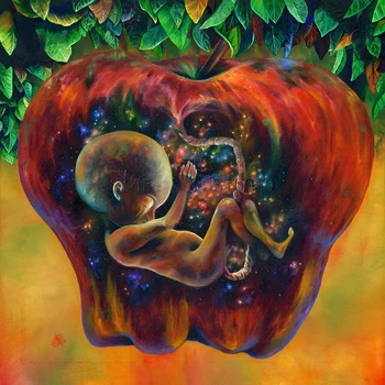 

Baby in apple room decor Embroidery Pattern diamond 5D DIY paintings 3D Cross stitch kits mosaic stickers RS1066