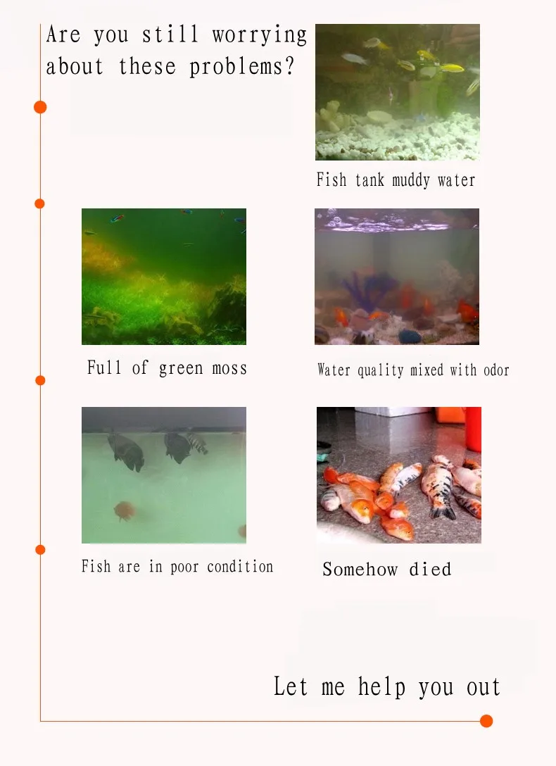 08_conew1