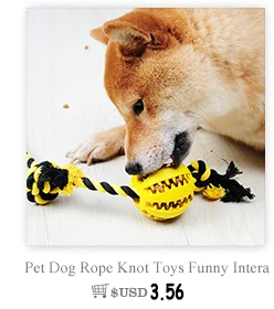 D-___A_B_(Litter-&-Housebreaking)_LH190122-2__A-_05