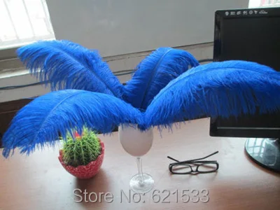 FO110 (9)