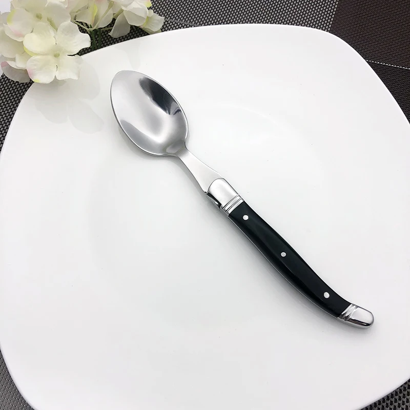 black steak spoon set  (10)
