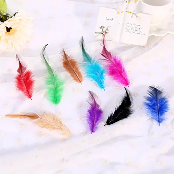 

Free Delivery! Multiple Colour 50pcs High Quality Pheasant Feather, 10-15cm/4-6'' Jewelry Decoration DIY, Clothing Accessories